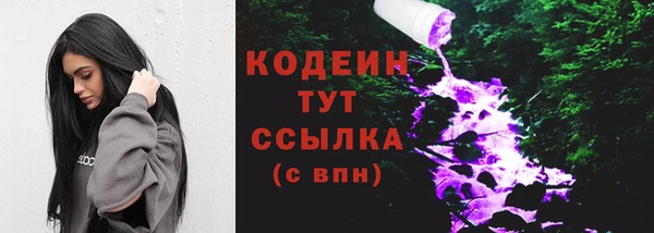 прущая мука Вяземский