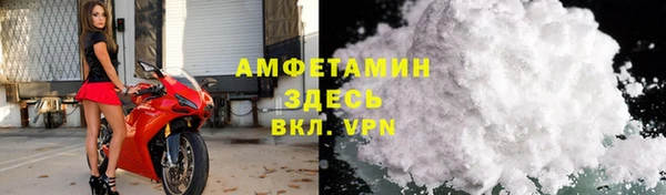 прущая мука Вяземский