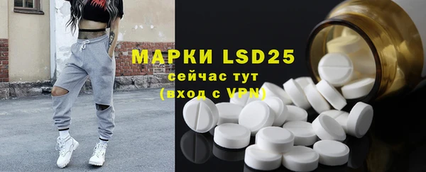 прущая мука Вяземский