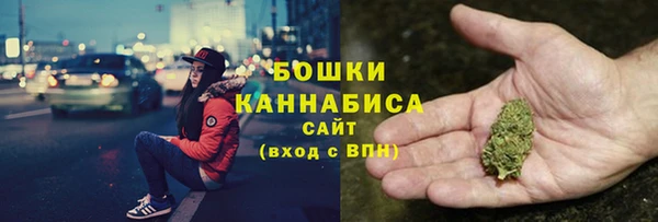 прущая мука Вяземский