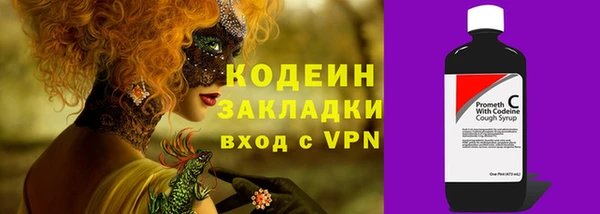 прущая мука Вяземский