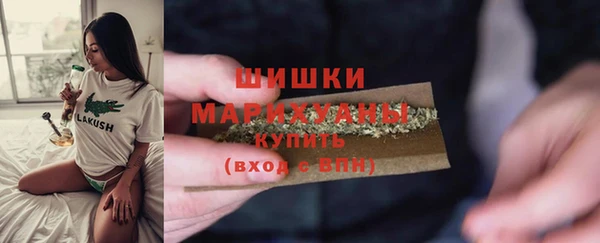 прущий лед Вязьма