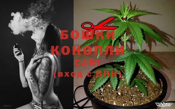прущая мука Вяземский