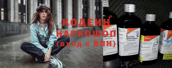 прущий лед Вязьма